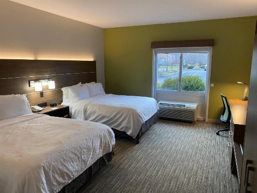 Holiday Inn Express Hotel & Suites Binghamton University-Vestal image 33